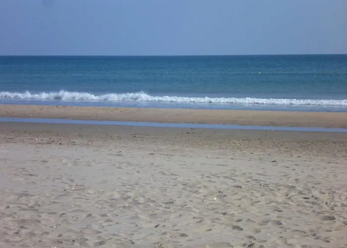 דירה Renove 4 Pers. Proche Plage, Calme, Parking, Animaux Acceptes - Fr-1-387-131